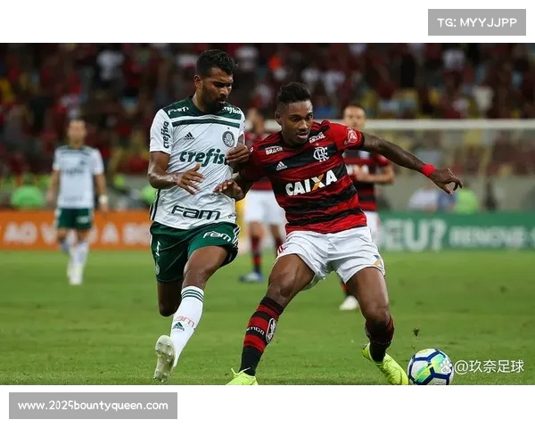 解放者杯决赛日期11月29日获南美足联官方确认